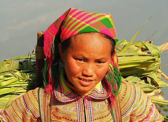 35-Vietnam Feldarbeiterin