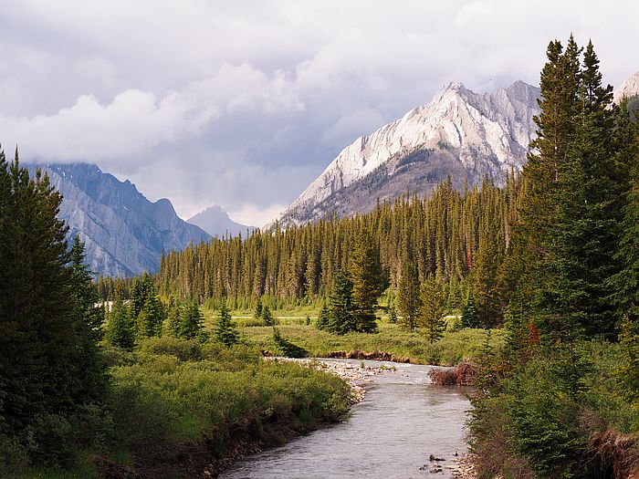 Nr. 62 – Kanada – Great Divide – Was ein genialer Trail !!!