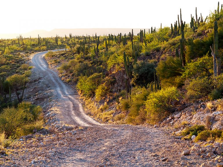 68 - Bikepacking Baja Divide Mexico Baja California-50