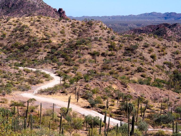 68 - Bikepacking Baja Divide Mexico Baja California-51