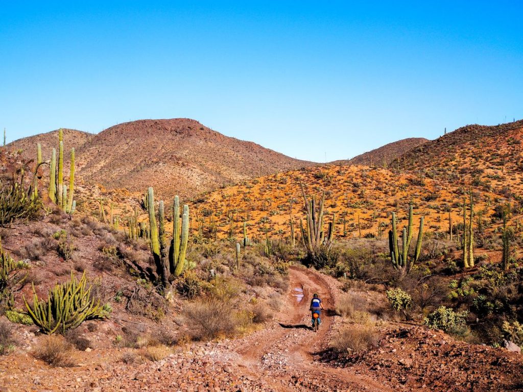 Bike touring Baja California