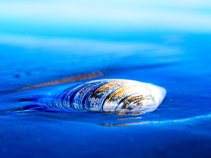 Blue moment
