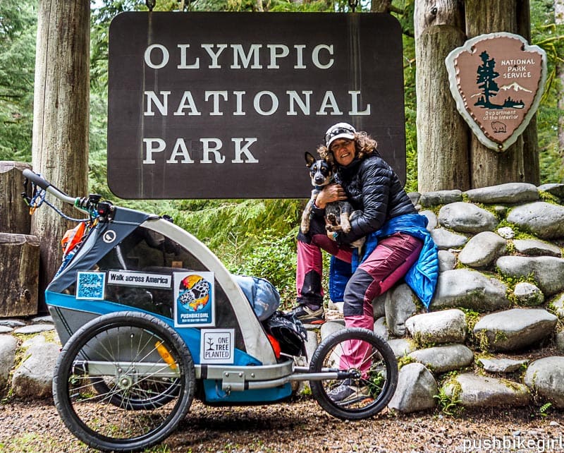 Walk-across-America-Washington-State-Jogging-Stroller-Blue-Heeler-fundraiser-77