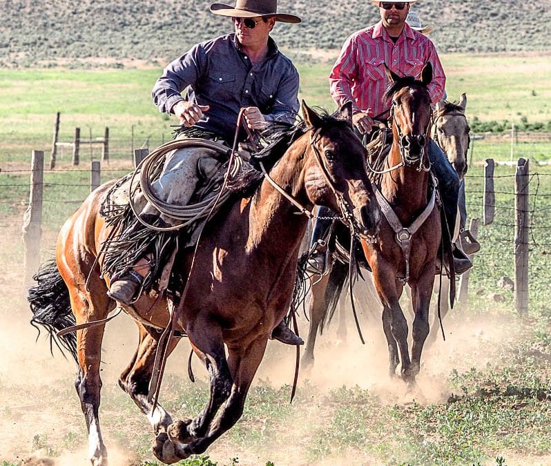 Ein Tag bei den Cowboys im Wilden Westen