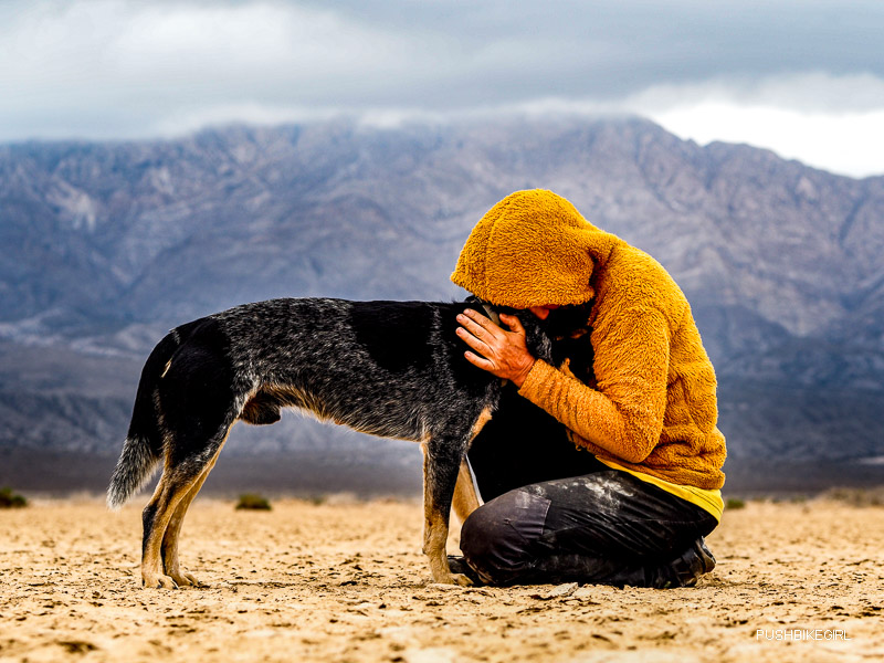 Argentinien fetzt – Mit TukTuk und Hund durch Südamerika.