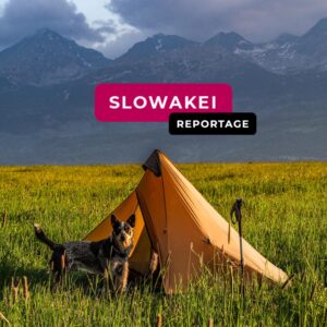 Podcast Episode 006